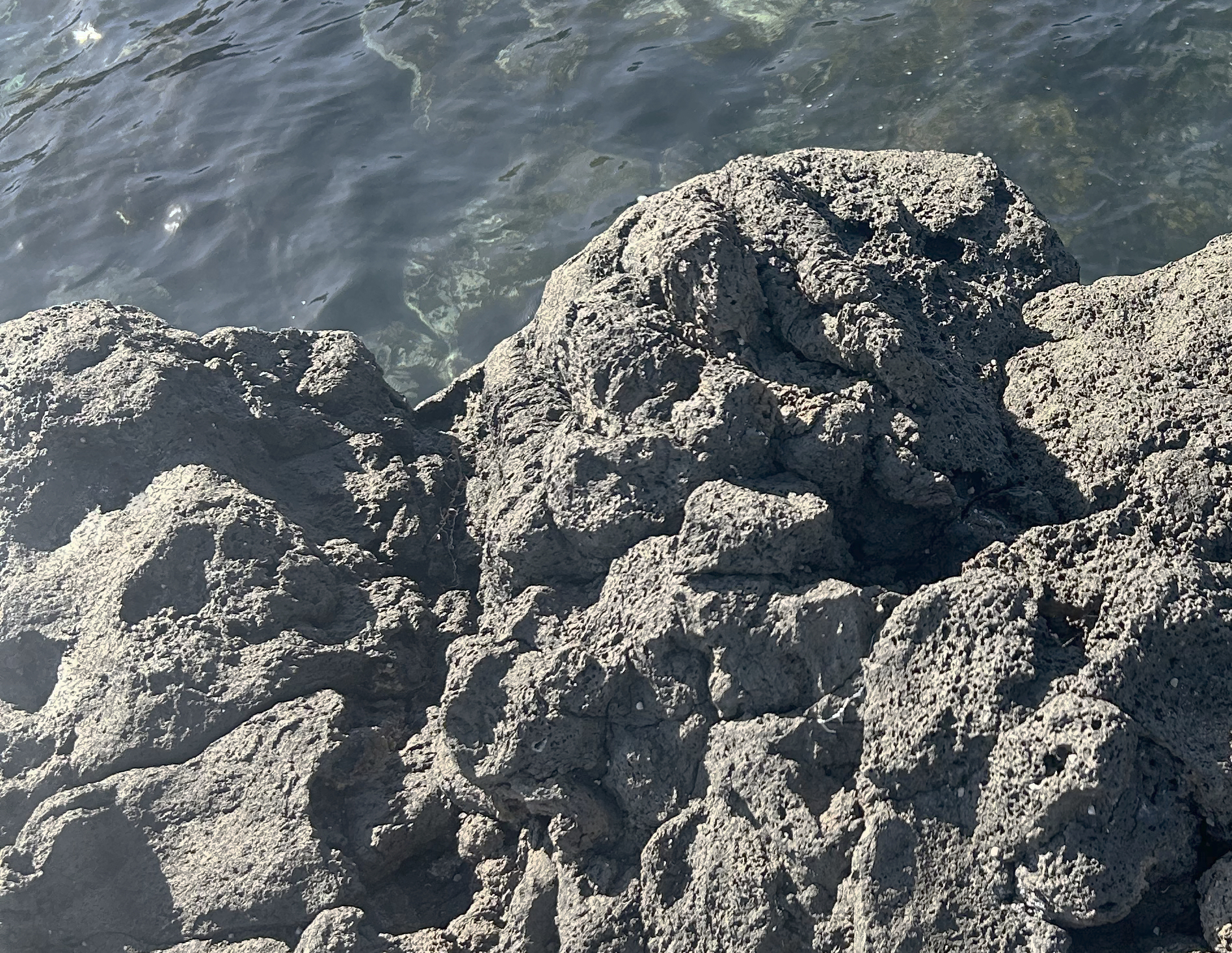 Swim-tech-rock-mobile